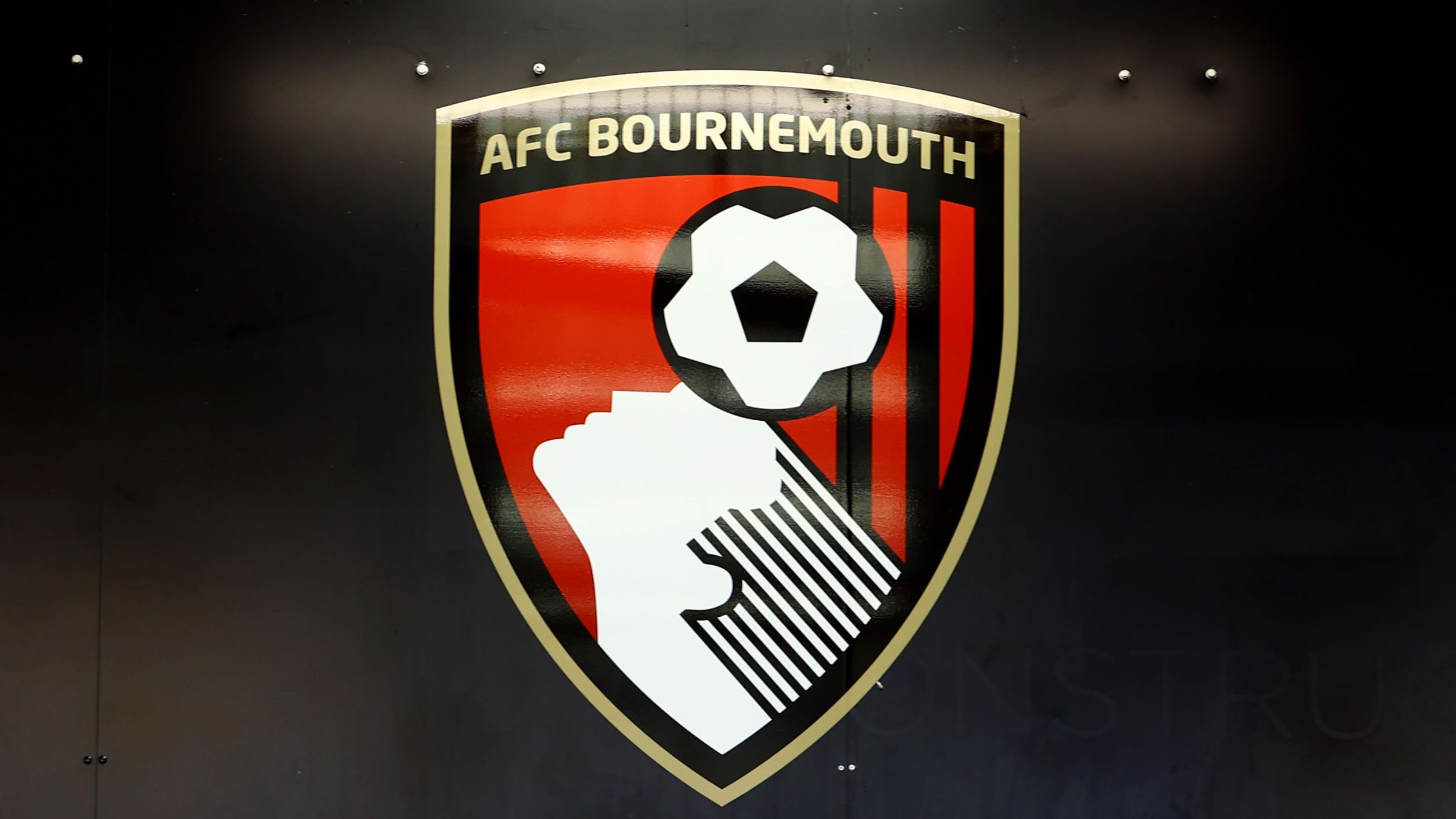Siapa orang yang ada di balik logo Bournemouth? - Pasar Modern