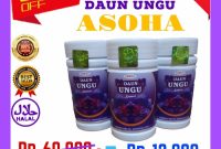 Kapsul Daun Ungu Original ASOHA isi 60 obat wasir