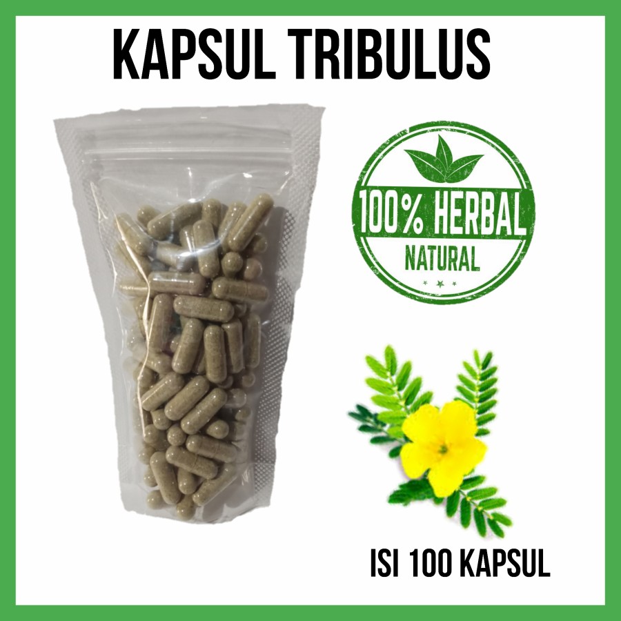 TRIBULUS TERRESTRIS Kapsul Curah Testosteron Libido Booster