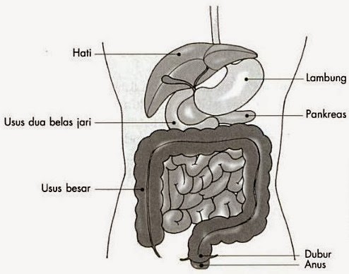 Penyebab%2Bdan%2BGejala%2BDiabetes%2BMelitus.jpg