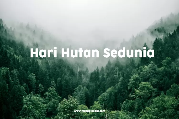 hari-hutan-sedunia-2894128442.jpg