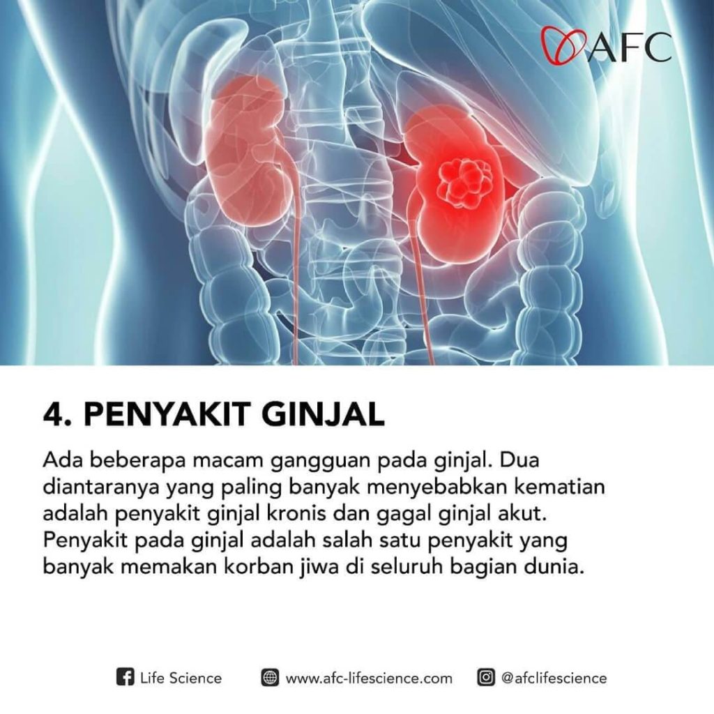 Penyakit-Tak-Menular-Mematikan4-1024x1024.jpg