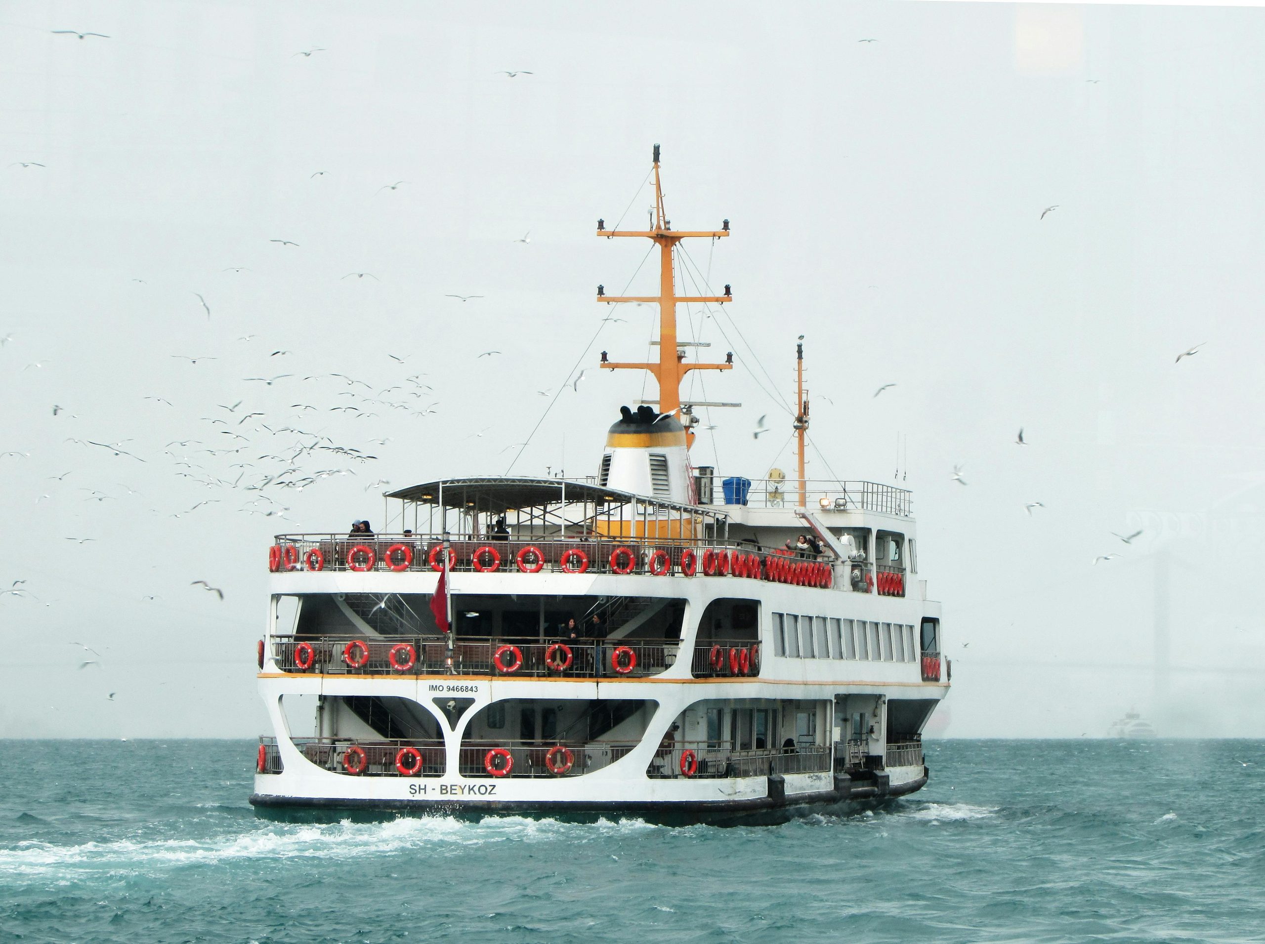 ferry.jpg