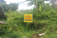 Attachment for Dari nongkrong tak jelas ke mengarit, anak-anak muda Sirnasari kini ketagihan bertani