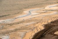 Attachment for Di antara angin pantai dan kelapa muda