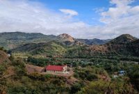 Attachment for Peringatan Santo dan Santa Pelindung 23 Januari 2026